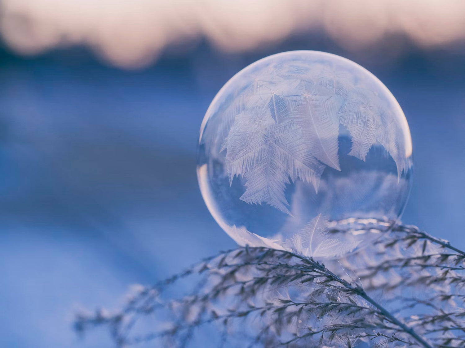 Vinter